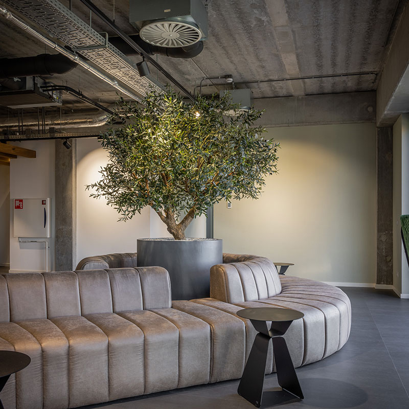 Growteq Dordrecht