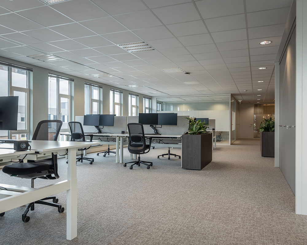 visser en visser zwolle 2